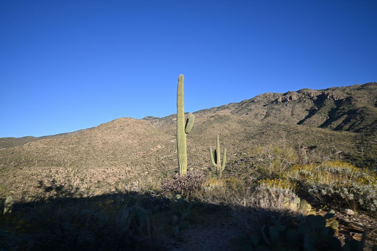 Where to Play Padel in Tucson (2026 Guide)