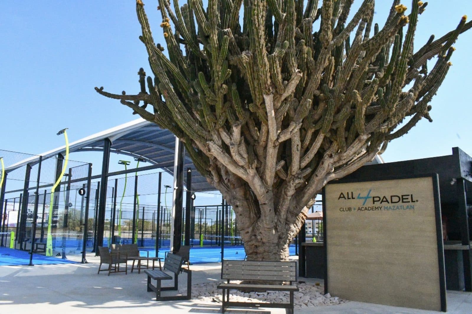 All4Padel Club Mazatlán banner