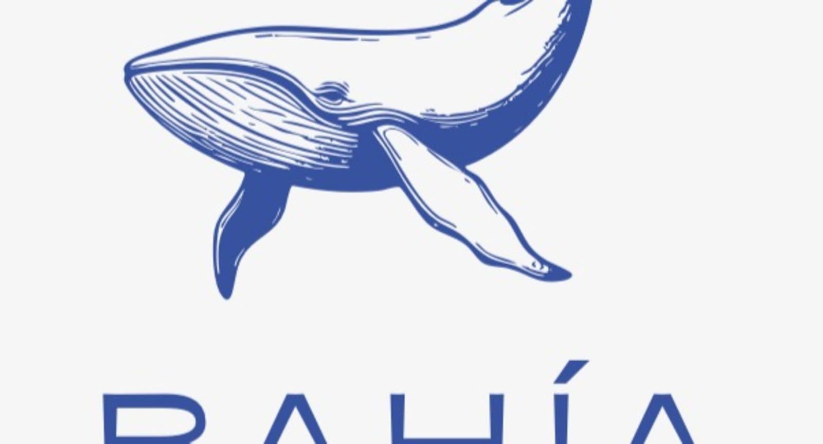 Bahia Social Sports Club padel courts