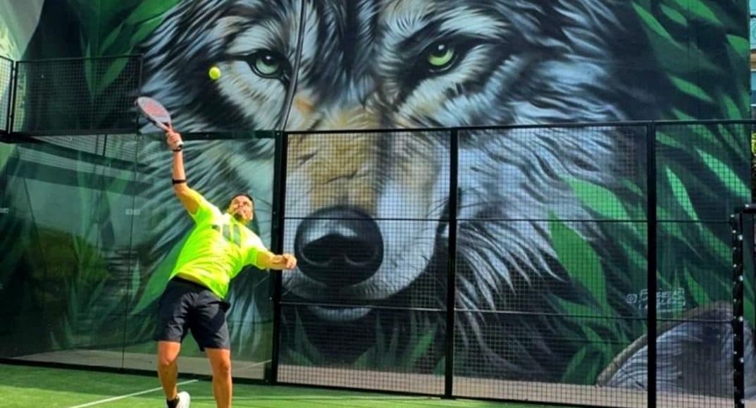 Lobo Pádel Club padel courts