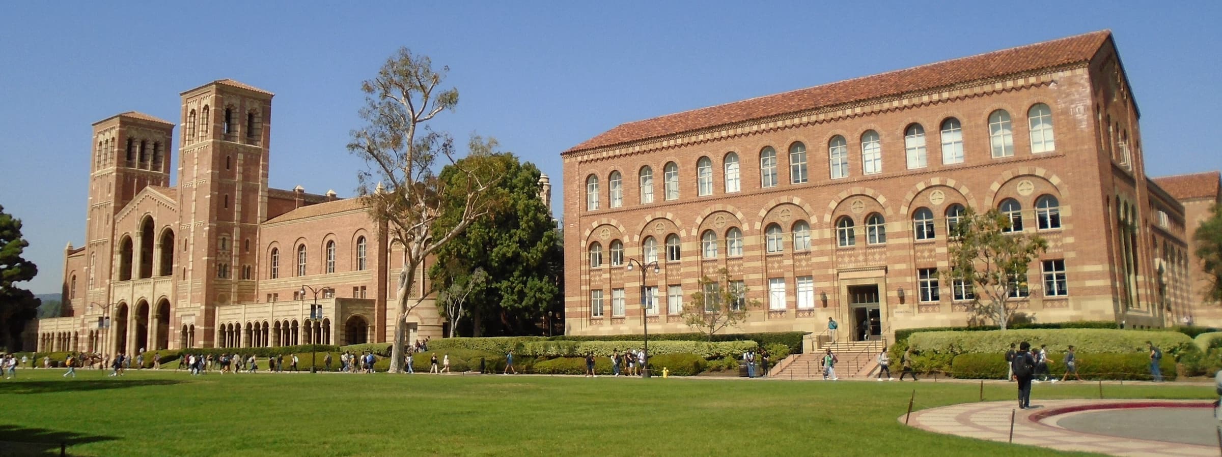UCLA Padel banner