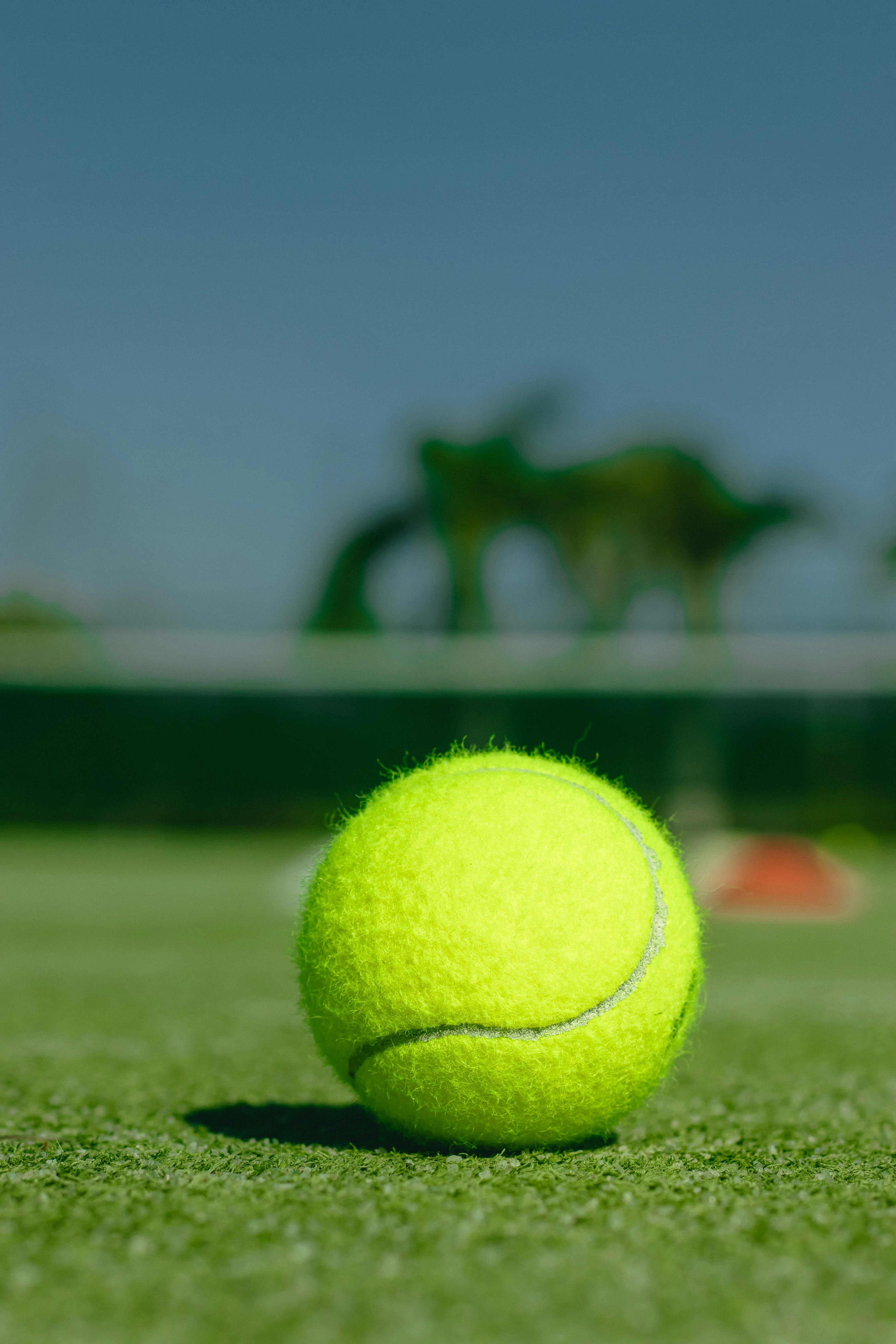 What Padel Rackets Do the Pros Use in 2026? US Guide